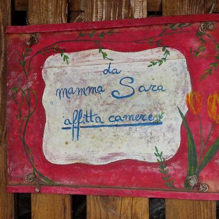Affittacamere Damammasara Rignano sullʼArno Εξωτερικό φωτογραφία